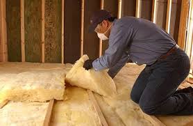 Best Insulation Removal  in Fillmore, CA